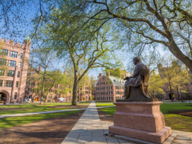 University of New Haven Scholarships 2024, USA