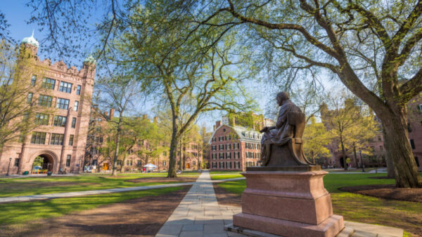 University of New Haven Scholarships 2024, USA